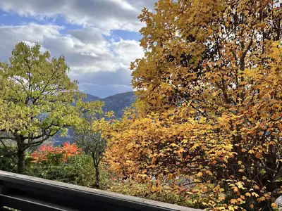 Herbst