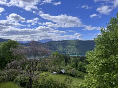 Ausblick im Frühling