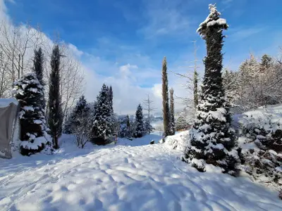 Landhaus Bonaventura Garten Winter 2026