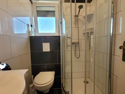 Ferienwohnung für 4 Personen (35 m²) in Milovčići 7/10