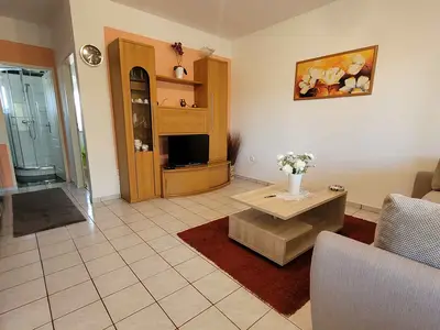 Ferienwohnung für 4 Personen (35 m²) in Milovčići 10/10