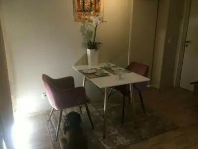 Ferienwohnung für 3 Personen (65 m²) in Minden 8/10