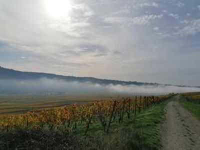 Minheim im Nebel