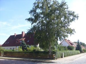 18143793-Ferienwohnung-4-Mirow-300x225-1