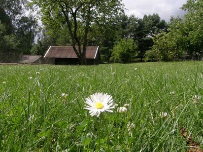 Ferienwohnung für 5 Personen in Mirow 5/10