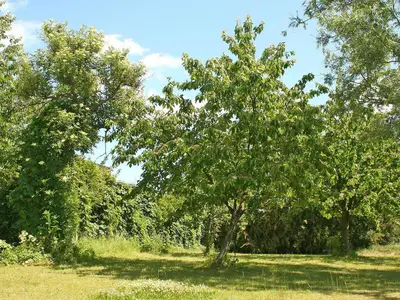 outside