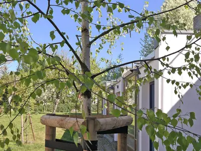 outside
