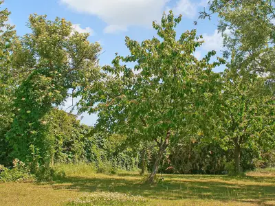outside