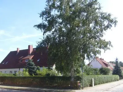 Ferienwohnung für 4 Personen (55 m²) in Mirow 2/10