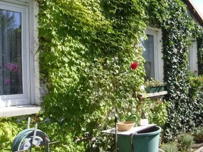 Ferienwohnung für 4 Personen (55 m²) in Mirow 3/10