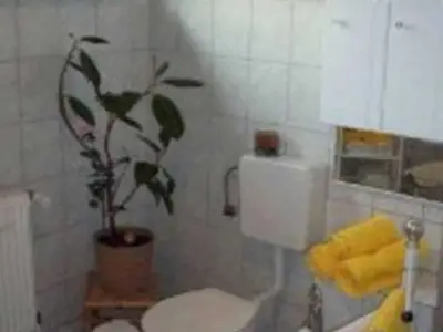 Ferienwohnung für 4 Personen (55 m²) in Mirow 8/10