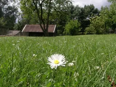 Ferienwohnung für 5 Personen in Blankenförde 5/10