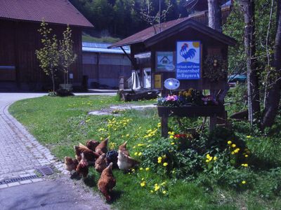 Hofschild Frühjahr