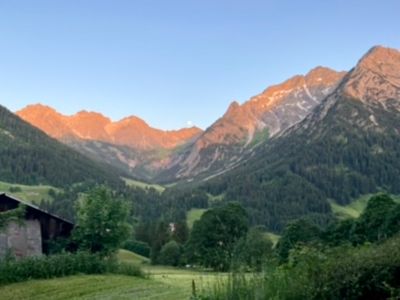 Ferienwohnung für 4 Personen (70 m²) in Mittelberg (Kleinwalsertal) 3/10