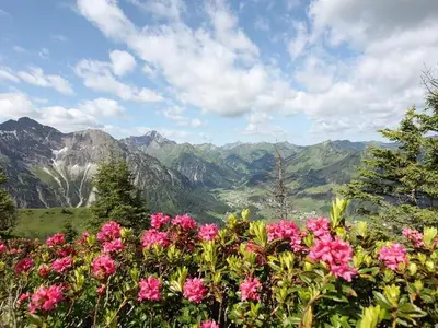 Ferienwohnung für 6 Personen (75 m²) in Mittelberg (Kleinwalsertal) 4/10