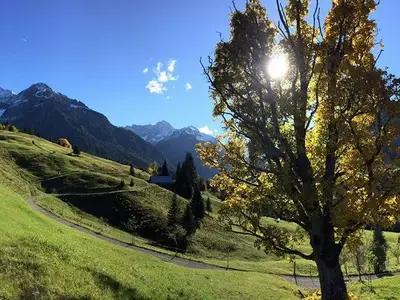 Ferienwohnung für 6 Personen (75 m²) in Mittelberg (Kleinwalsertal) 7/10