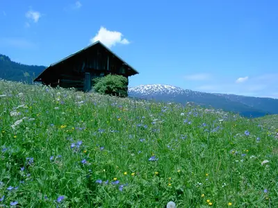 Kleinwalsertal im Sommer