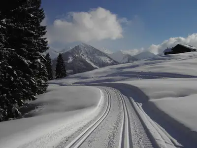 Kleinwalsertal im Winter
