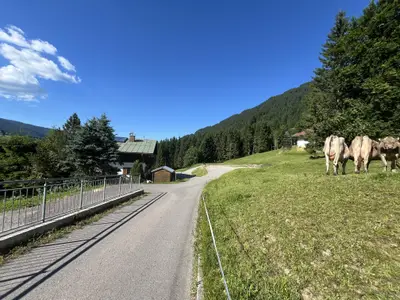 Zufahrt zum Haus im Sommer