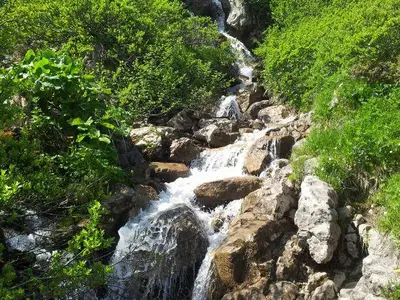 Unsere Natur erleben