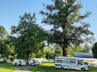 Camping im Eichenwald