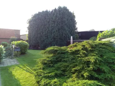 Ferienwohnung für 2 Personen (45 m²) in Mittelnkirchen 10/10