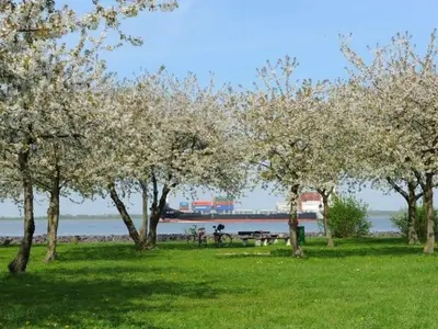 Ferienwohnung für 1 Person (70 m²) in Mittelnkirchen 4/10
