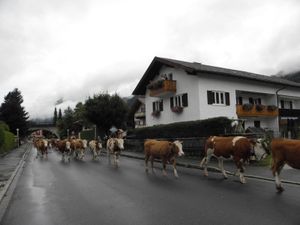 19125081-Ferienwohnung-3-Mittenwald-300x225-2