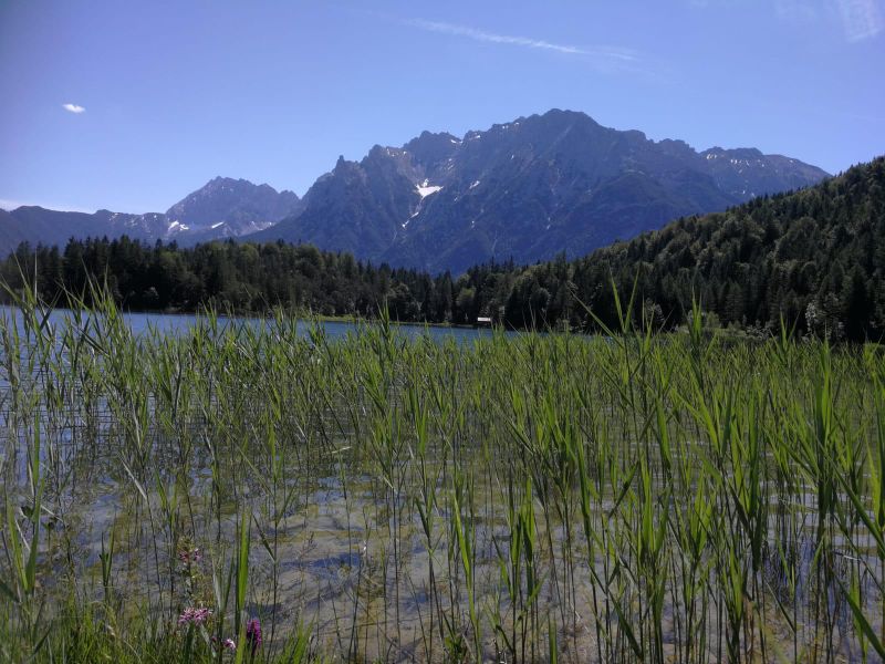 19388260-Ferienwohnung-5-Mittenwald-800x600-2