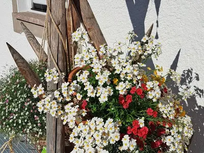 Ferienwohnung für 6 Personen (117 m²) in Mittenwald 4/10