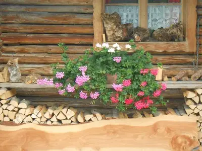 Ferienwohnung für 3 Personen (40 m²) in Mittenwald 2/10