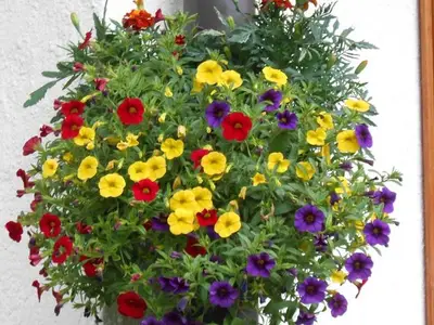 Ferienwohnung für 3 Personen (40 m²) in Mittenwald 10/10