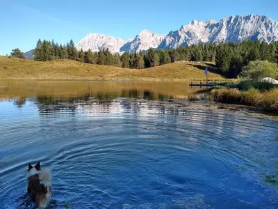 Ferienwohnung für 2 Personen (60 m²) in Mittenwald 6/10