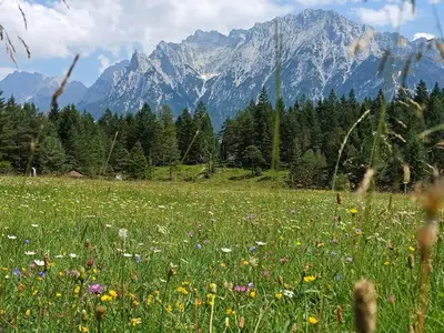 Ferienwohnung für 4 Personen (80 m²) in Mittenwald 3/10