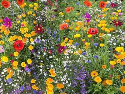 Ferienwohnung für 4 Personen (80 m²) in Mittenwald 10/10