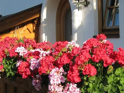 Ferienwohnung für 3 Personen (55 m²) in Mittenwald 2/10