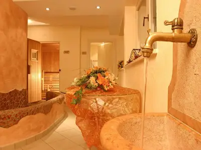 Ferienwohnung für 12 Personen (105 m²) in Mittersill 7/10