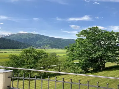 ViewSummer