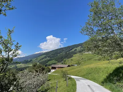ViewSummer