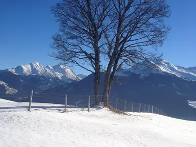 Winterlandschaft in der unmittelbaren Nähe