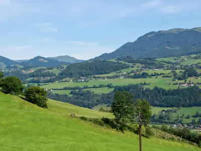 Ferienwohnung für 4 Personen (70 m²) in Mittersill 2/10
