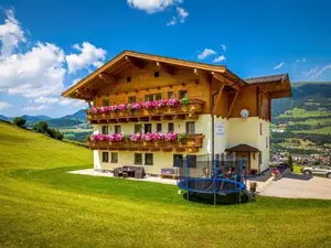 Ferienwohnung für 6 Personen (70 m²) in Mittersill