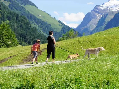 Ferienwohnung für 6 Personen (70 m²) in Mittersill 4/10