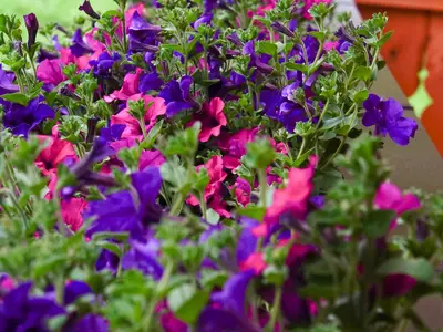 Ferienwohnung für 6 Personen (70 m²) in Mittersill 5/10