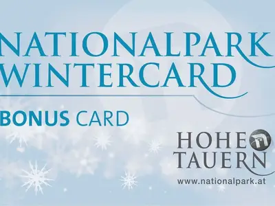 Ferienwohnung für 6 Personen (70 m²) in Mittersill 9/10