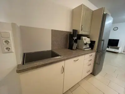 Ferienwohnung für 4 Personen (80 m²) in Mittersill 5/10