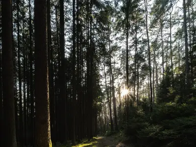 Ferienwohnung für 5 Personen (55 m²) in Mitwitz 9/10