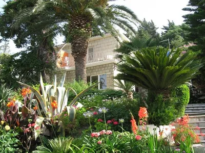 GardenSummer