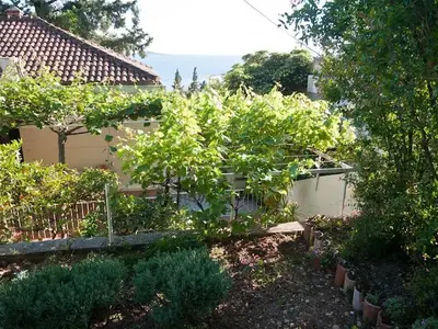 GardenSummer
