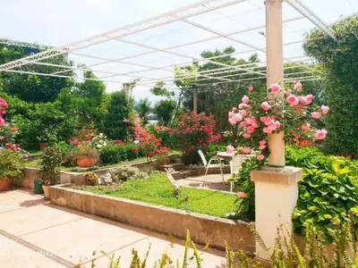 Outdoor